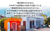 相模原市田名のおがわのたまご　ピンク卵（Mサイズ）75個＋割れ補償5個入り（計80個）|卵&nbsp;鶏卵&nbsp;玉子&nbsp;たまご&nbsp;生卵&nbsp;国産&nbsp;濃厚&nbsp;コク&nbsp;旨味&nbsp;旨み