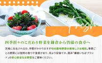 「鎌倉いちばブランド」新鮮お野菜詰め合わせセット&nbsp;10～15品&nbsp;|&nbsp;人気&nbsp;野菜&nbsp;詰合せ&nbsp;詰め合わせ&nbsp;セット&nbsp;新鮮野菜&nbsp;詰め合わせセット&nbsp;野菜セット&nbsp;季節の野菜&nbsp;鎌倉野菜&nbsp;地元産&nbsp;お取り寄せ&nbsp;おすすめ&nbsp;送料無料&nbsp;神奈川&nbsp;鎌倉【ポイント交換専用】