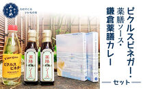 【鎌倉三留商店】ピクルスビネガー、薬膳ソース２本&nbsp;、鎌倉薬膳カレー２食&nbsp;|&nbsp;ピクルス&nbsp;ビネガー&nbsp;薬膳&nbsp;ソース&nbsp;薬膳カレー&nbsp;人気&nbsp;おすすめ&nbsp;健康&nbsp;調味料&nbsp;カレー&nbsp;ギフト&nbsp;プレゼント&nbsp;送料無料&nbsp;神奈川&nbsp;鎌倉【ポイント交換専用】