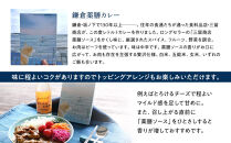 【鎌倉三留商店】ピクルスビネガー、薬膳ソース&nbsp;、鎌倉薬膳カレー３食【ポイント交換専用】