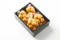 【皮ごと丸ごと】完熟きんかん「こん太」