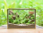 《苔テラリウム・コケリウム》山岳の風景&nbsp;メタルフレーム&nbsp;L&nbsp;|&nbsp;インテリア&nbsp;苔テラリウム&nbsp;自然&nbsp;アート&nbsp;人気&nbsp;おすすめ&nbsp;観葉植物&nbsp;癒し&nbsp;ギフト&nbsp;プレゼント&nbsp;インテリア雑貨&nbsp;送料無料&nbsp;神奈川&nbsp;鎌倉【ポイント交換専用】