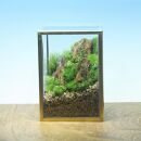 《苔テラリウム・コケリウム》山岳の風景&nbsp;メタルフレーム&nbsp;S【ポイント交換専用】