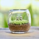 《苔テラリウム・コケリウム》HMふたご地蔵_おちょこけ【ポイント交換専用】