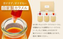 1番人気MIX7個セット（ハニーカラメルぷりん２個・ちょいビターカラメルぷりん２個・塩カラメルぷりん3個）&nbsp;|&nbsp;スイーツ&nbsp;人気店&nbsp;プリン&nbsp;人気&nbsp;おすすめ&nbsp;プリンセット&nbsp;カラメル&nbsp;セット&nbsp;ギフト&nbsp;プレゼント&nbsp;送料無料&nbsp;神奈川&nbsp;鎌倉【ポイント交換専用】