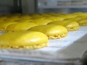 グランディールアンサンブル&nbsp;　ケークオショコラオランジュ（1本）・マカロン（8個）セット&nbsp;|&nbsp;スイーツ&nbsp;マカロン&nbsp;ケーキ&nbsp;セット&nbsp;人気&nbsp;おすすめ&nbsp;洋菓子&nbsp;ショコラ&nbsp;ギフト&nbsp;プレゼント&nbsp;送料無料&nbsp;神奈川&nbsp;鎌倉【ポイント交換専用】