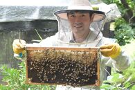 搾りたて！「北鎌倉天使のはちみつ」（非加熱・無濾過）220ｇ×2個【ポイント交換専用】