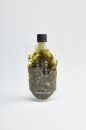 【農林水産大臣賞受賞】【鎌倉野菜】ドレッシングセット5本（150ml×4／130ml×1）人参2種・玉ねぎ・赤玉ねぎ・味噌ジェノベーゼソース【&nbsp;鎌倉の農家が土づくりからこだわった】|&nbsp;調味料&nbsp;ドレッシング&nbsp;セット&nbsp;野菜&nbsp;人気&nbsp;おすすめ&nbsp;ギフト&nbsp;安全&nbsp;農家&nbsp;鎌倉&nbsp;神奈川&nbsp;送料無料【ポイント交換専用】