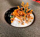 季節を味わう　旬コース&nbsp;ペアチケット　1枚【金曜日・土曜日・日曜日・祝日限定】【ポイント交換専用】