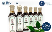 鎌倉三留商店「薬膳ソース&nbsp;」６本セット&nbsp;|&nbsp;調味料&nbsp;薬膳&nbsp;健康食品&nbsp;ソース&nbsp;セット商品&nbsp;料理&nbsp;ヘルシー&nbsp;自然食品&nbsp;栄養&nbsp;人気&nbsp;おすすめ&nbsp;送料無料&nbsp;神奈川&nbsp;鎌倉【ポイント交換専用】