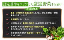 「鎌倉いちばブランド」新鮮お野菜詰め合わせセット&nbsp;&nbsp;6～8品&nbsp;｜&nbsp;人気&nbsp;野菜&nbsp;詰合せ&nbsp;詰め合わせ&nbsp;セット&nbsp;新鮮野菜&nbsp;詰め合わせセット&nbsp;野菜セット&nbsp;季節の野菜&nbsp;鎌倉野菜&nbsp;地元産&nbsp;お取り寄せ&nbsp;おすすめ&nbsp;送料無料&nbsp;神奈川&nbsp;鎌倉【ポイント交換専用】
