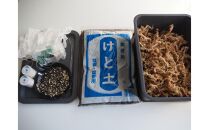 360度楽しめる！吊るせる観葉植物「ゆらゆらハングボールキット」【ポイント交換専用】