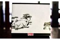 【鎌倉発ブランド豚】&nbsp;鎌倉海藻ポーク1kg&nbsp;セット【ポイント交換専用】