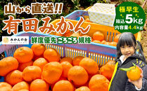 みかん&nbsp;極早生&nbsp;山から直送&nbsp;箱込&nbsp;5kg&nbsp;(内容量約&nbsp;4.4kg)&nbsp;採れたてそのままごろごろ規格&nbsp;有田みかん&nbsp;和歌山県産&nbsp;【みかんの会】みかん&nbsp;果物&nbsp;みかん&nbsp;フルーツ&nbsp;みかん&nbsp;和歌山&nbsp;みかん&nbsp;柑橘類&nbsp;みかん&nbsp;和歌山県産&nbsp;みかん&nbsp;有田&nbsp;みかん