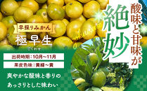 みかん&nbsp;極早生&nbsp;山から直送&nbsp;箱込&nbsp;5kg&nbsp;(内容量約&nbsp;4.4kg)&nbsp;採れたてそのままごろごろ規格&nbsp;有田みかん&nbsp;和歌山県産&nbsp;【みかんの会】みかん&nbsp;果物&nbsp;みかん&nbsp;フルーツ&nbsp;みかん&nbsp;和歌山&nbsp;みかん&nbsp;柑橘類&nbsp;みかん&nbsp;和歌山県産&nbsp;みかん&nbsp;有田&nbsp;みかん