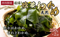 【湘南腰越名産！】湯通し「天然塩蔵わかめ」250g×2袋【ポイント交換専用】
