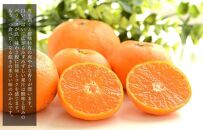 みかん Lサイズ 秀品 箱込 5kg (内容量約 4.4kg) 有田みかん 和歌山県産 産地直送 贈答用 ［2025年11月中旬より2026年1月中旬頃順次出荷予定］［みかんの会］