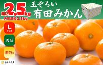 みかん Lサイズ 秀品 箱込 2.5kg (内容量約 2.3kg) 有田みかん 和歌山県産 産地直送 贈答用 【みかんの会】