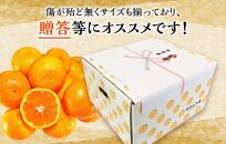 みかん Ｍサイズ 秀品 箱込 5kg (内容量約 4.4kg) 有田みかん 和歌山県産 産地直送 贈答用 ［2025年11月中旬より2026年1月中旬頃順次出荷予定］［みかんの会］