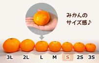 みかん Sサイズ 秀品 箱込 5kg (内容量約 4.4kg) 有田みかん 和歌山県産 産地直送 贈答用 ［2025年11月中旬より2026年1月中旬頃順次出荷予定］［みかんの会］