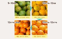 みかん Sサイズ 秀品 箱込 5kg (内容量約 4.4kg) 有田みかん 和歌山県産 産地直送 贈答用 ［2025年11月中旬より2026年1月中旬頃順次出荷予定］［みかんの会］