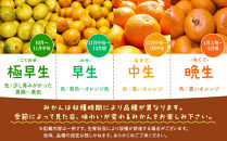 訳あり&nbsp;それでも&nbsp;有田みかん&nbsp;箱込&nbsp;10kg&nbsp;(内容量約&nbsp;9.2kg)&nbsp;&nbsp;サイズミックス&nbsp;B品&nbsp;有田みかん&nbsp;和歌山県産&nbsp;産地直送&nbsp;家庭用［2025年11月中旬より順次出荷予定］［みかんの会］