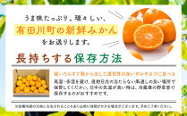 訳あり&nbsp;それでも&nbsp;有田みかん&nbsp;箱込&nbsp;10kg&nbsp;(内容量約&nbsp;9.2kg)&nbsp;&nbsp;サイズミックス&nbsp;B品&nbsp;有田みかん&nbsp;和歌山県産&nbsp;産地直送&nbsp;家庭用［2025年11月中旬より順次出荷予定］［みかんの会］
