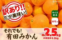 訳あり それでも 有田みかん 箱込 2.5kg (内容量約 2.3kg) サイズミックス B品 有田みかん 和歌山県産 産地直送 家庭用【みかんの会】