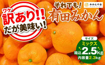 訳あり&nbsp;それでも&nbsp;有田みかん&nbsp;箱込&nbsp;2.5kg&nbsp;(内容量約&nbsp;2.3kg)&nbsp;サイズミックス&nbsp;B品&nbsp;有田みかん&nbsp;和歌山県産&nbsp;産地直送&nbsp;家庭用［2025年11月中旬より2026年1月中旬頃順次出荷予定］［みかんの会］