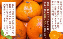 訳あり&nbsp;それでも&nbsp;有田みかん&nbsp;箱込&nbsp;2.5kg&nbsp;(内容量約&nbsp;2.3kg)&nbsp;サイズミックス&nbsp;B品&nbsp;有田みかん&nbsp;和歌山県産&nbsp;産地直送&nbsp;家庭用［2025年11月中旬より順次出荷予定］［みかんの会］