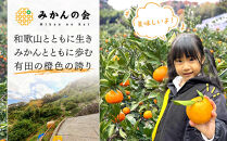 訳あり&nbsp;それでも&nbsp;有田みかん&nbsp;箱込&nbsp;2.5kg&nbsp;(内容量約&nbsp;2.3kg)&nbsp;サイズミックス&nbsp;B品&nbsp;有田みかん&nbsp;和歌山県産&nbsp;産地直送&nbsp;家庭用［2025年11月中旬より順次出荷予定］［みかんの会］