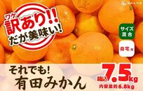 訳あり それでも 有田みかん 箱込 7.5kg (内容量約 6.8kg)  サイズミックス B品 有田みかん 和歌山県産 産地直送 家庭用【みかんの会】