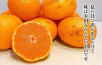 訳あり&nbsp;それでも&nbsp;有田みかん&nbsp;箱込&nbsp;7.5kg&nbsp;(内容量約&nbsp;6.8kg)&nbsp;&nbsp;サイズミックス&nbsp;B品&nbsp;有田みかん&nbsp;和歌山県産&nbsp;産地直送&nbsp;家庭用［2025年11月中旬より順次出荷予定］［みかんの会］