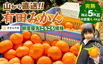 みかん 山から直送 箱込 5kg ( 内容量約 4.4kg ) 鮮度優先ごろごろ規格 和歌山県産 産地直送 家庭用［2025年11月中旬より2026年1月中旬頃順次出荷予定］［みかんの会］みかん 果物 みかん フルーツ みかん 和歌山 みかん 柑橘類 みかん 和歌山県産 みかん 有田 みかん