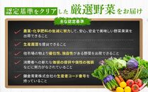 【６ヶ月連続毎月届く定期便】「鎌倉いちばブランド」新鮮お野菜詰め合わせセット&nbsp;|&nbsp;人気&nbsp;野菜&nbsp;詰合せ&nbsp;詰め合わせ&nbsp;セット&nbsp;新鮮野菜&nbsp;詰め合わせセット&nbsp;野菜セット&nbsp;季節の野菜&nbsp;鎌倉野菜&nbsp;地元産&nbsp;お取り寄せ&nbsp;おすすめ&nbsp;送料無料&nbsp;神奈川&nbsp;鎌倉【ポイント交換専用】