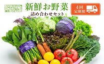 【3ヶ月毎計4回&nbsp;定期便】四季を味わえる「鎌倉いちばブランド」新鮮お野菜詰め合わせセット&nbsp;｜&nbsp;人気&nbsp;野菜&nbsp;詰合せ&nbsp;詰め合わせ&nbsp;セット&nbsp;新鮮野菜&nbsp;詰め合わせセット&nbsp;野菜セット&nbsp;季節の野菜&nbsp;鎌倉野菜&nbsp;地元産&nbsp;お取り寄せ&nbsp;おすすめ&nbsp;送料無料&nbsp;神奈川&nbsp;鎌倉【ポイント交換専用】