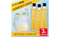 Mother’s　Marketマヌカ蜂蜜入りジンジャーシロップ　200ml×3本