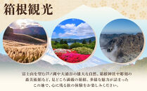 富士屋ホテル&nbsp;箱根エッグタルト6個入【ポイント交換専用】