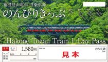 箱根登山電車1日乗車券「のんびりきっぷ」大人