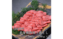 鳥取和牛赤身焼肉切り落とし　500g（250g×2P）