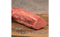鳥取和牛　ヒレブロック500g