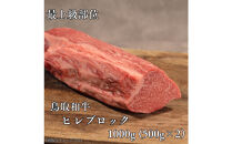 鳥取和牛　ヒレブロック1kg（500g×2P）