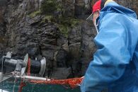 【三島村の漁師からお届け】伊勢海老【ポイント交換専用】
