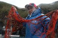 【三島村の漁師からお届け】伊勢海老【ポイント交換専用】
