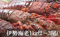 【三島村の漁師からお届け】伊勢海老【ポイント交換専用】