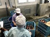 【特産品セット】焼酎メンドンと伊勢海老のセット【ポイント交換専用】