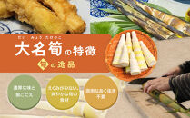 【2027年お届け】大名筍&nbsp;10kg&nbsp;(&nbsp;約32本&nbsp;)&nbsp;(&nbsp;竹島産&nbsp;)～2027年5月中旬以降順次発送予定～【ポイント交換専用】