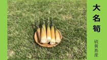 【2027年お届け】大名筍3kg（硫黄島産）＆大名筍3kg（竹島産）の食べ比べセット【ポイント交換専用】