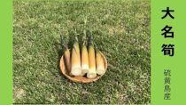 【2027年お届け】大名筍3kg（約15本）（硫黄島産）と焼酎メンドン720mlのセット【ポイント交換専用】