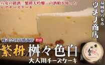 福岡八女の銘酒「繁枡大吟醸」酒粕使用　大人用チーズケーキ「繁桝の桝々色白」